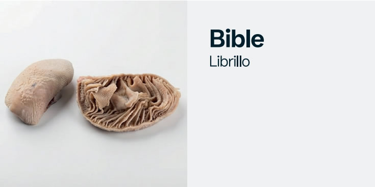 bible