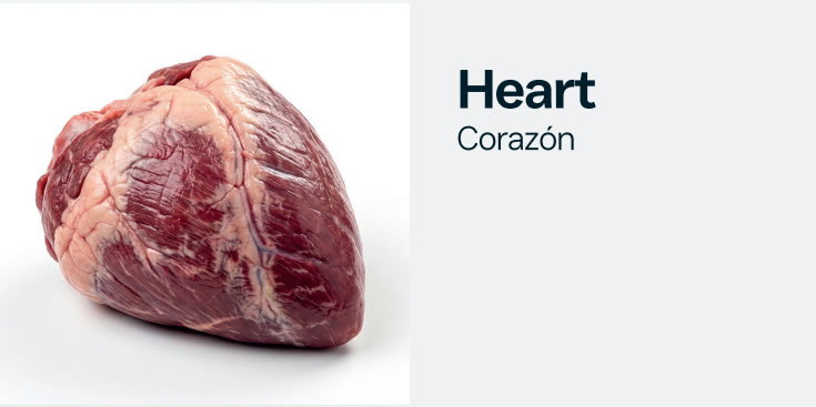 heart