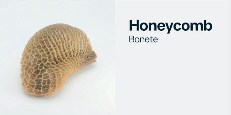 honeycomb