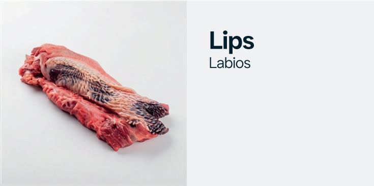lips
