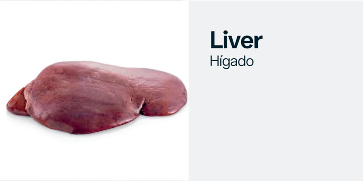liver