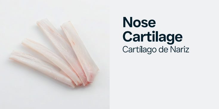 nosecartilage
