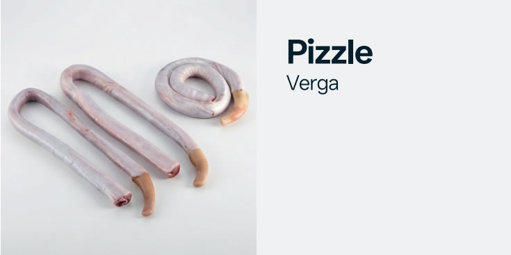 pizzle