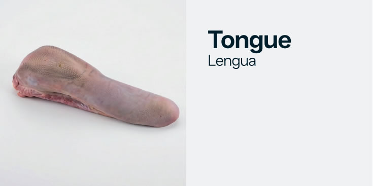 tongue