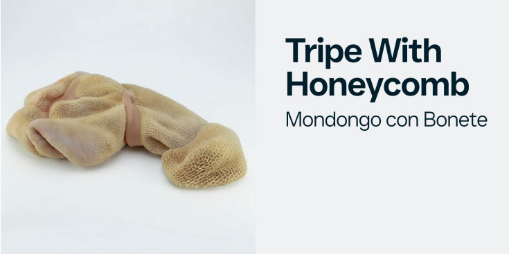 tripewithhoneycomb
